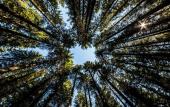 Туры в отель Hotel Julian Alps