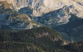 Туры в отель Hotel Julian Alps