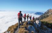 Туры в отель Hotel Julian Alps