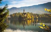 Туры в отель Hotel Julian Alps