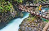 Туры в отель Hotel Julian Alps