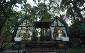 Туры в отель High Tree Resort Co.,Ltd.