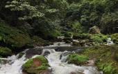 Туры в отель CLOUD Pillow Creek Private Homestay
