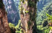 Туры в отель CLOUD Pillow Creek Private Homestay