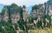 Туры в отель CLOUD Pillow Creek Private Homestay