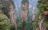 Туры в отель CLOUD Pillow Creek Private Homestay