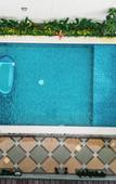 Туры в отель Turtle Shelter Guest House