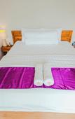 Туры в отель Turtle Shelter Guest House