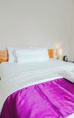 Туры в отель Turtle Shelter Guest House