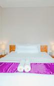 Туры в отель Turtle Shelter Guest House