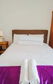 Туры в отель Turtle Shelter Guest House