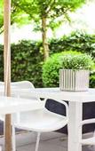 Туры в отель Designhotel Rosenbohm