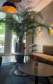 Туры в отель Designhotel Rosenbohm