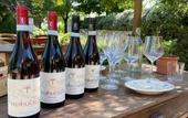 Туры в отель La Vineria di San Mattia