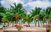Туры в отель THIEN TAN HOTEL