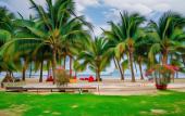 Туры в отель THIEN TAN HOTEL