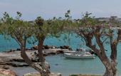 Туры в отель Salt Suites Paros