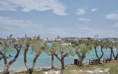 Туры в отель Salt Suites Paros