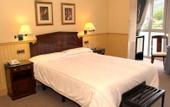 Туры в отель Hotel Lur Gorri