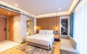 Туры в отель Radisson Hotel Prayagraj