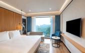 Туры в отель Radisson Hotel Prayagraj