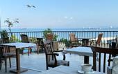 Туры в отель Queen Seagull Boutique Hotel