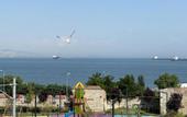 Туры в отель Queen Seagull Boutique Hotel