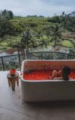 Туры в отель Camaya Bali