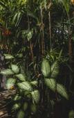 Туры в отель Camaya Bali