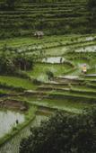 Туры в отель Camaya Bali