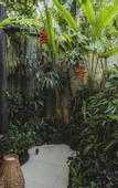 Туры в отель Camaya Bali