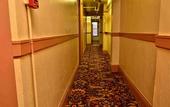 Туры в отель Winsor Hotel