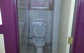 Туры в отель Winsor Hotel