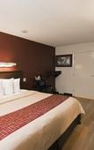 Туры в отель Red Roof Inn PLUS+ Chicago - Willowbrook