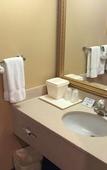 Туры в отель Comfort Suites Oakbrook Terrace near Oakbrook Center