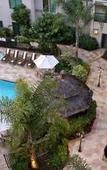 Туры в отель Courtyard by Marriott Pasadena/Old Town