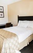 Туры в отель Hotel Bel-Air Orlando