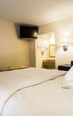 Туры в отель Hotel Bel-Air Orlando