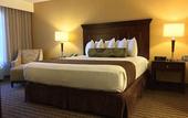 Туры в отель Best Western Plus Carriage Inn
