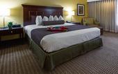 Туры в отель Best Western Plus Carriage Inn