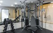 Туры в отель Best Western Plus Carriage Inn