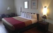 Туры в отель Belmont Inn & Suites