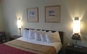 Туры в отель Belmont Inn & Suites