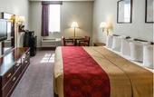 Туры в отель Belmont Inn & Suites