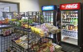 Туры в отель Wingate by Wyndham - Orlando International Airport