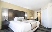 Туры в отель Wingate by Wyndham - Orlando International Airport