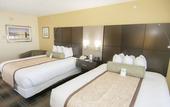 Туры в отель Wingate by Wyndham - Orlando International Airport
