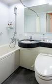Туры в отель Daiwa Roynet Hotel Tokyo Osaki