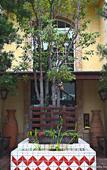Туры в отель Hotel Pepper Tree Boutique Kitchen Studios - Anaheim