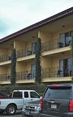 Туры в отель Hotel Pepper Tree Boutique Kitchen Studios - Anaheim